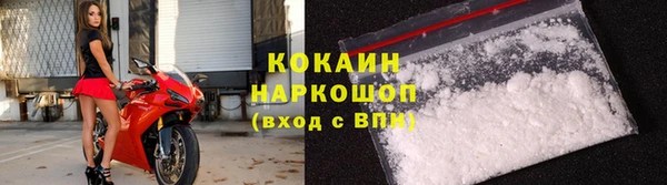 ГАЛЛЮЦИНОГЕННЫЕ ГРИБЫ Костерёво