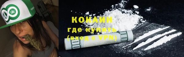 прущие грибы Арсеньев