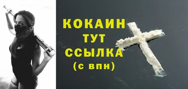 прущие грибы Арсеньев