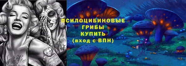 гашик Аркадак