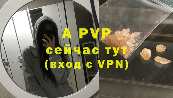 гашик Аркадак