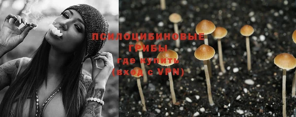 гашик Аркадак