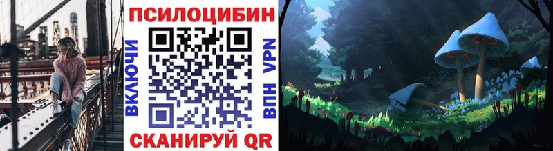Псилоцибиновые грибы GOLDEN TEACHER  Вельск 