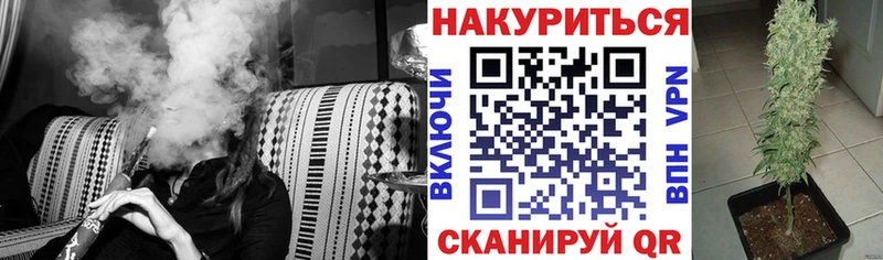 даркнет как зайти  гидра как зайти  Вельск  Канабис сатива 